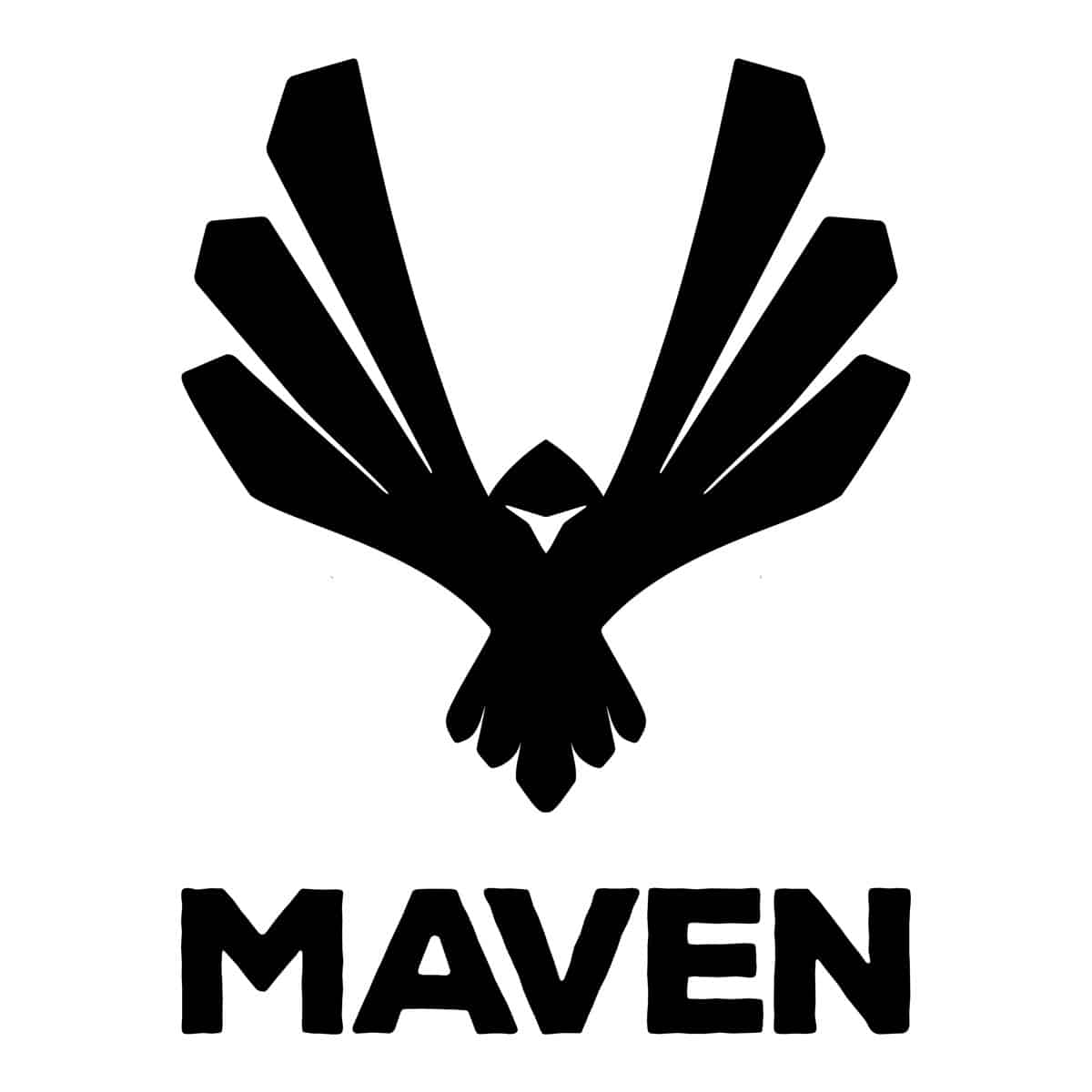 What is MAVEN? Local Video Marketing (Amara Andrew & Jeff Sarris)
